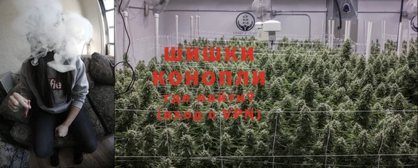 ПСИЛОЦИБИНОВЫЕ ГРИБЫ Абдулино