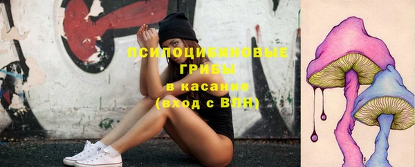 ПСИЛОЦИБИНОВЫЕ ГРИБЫ Абдулино
