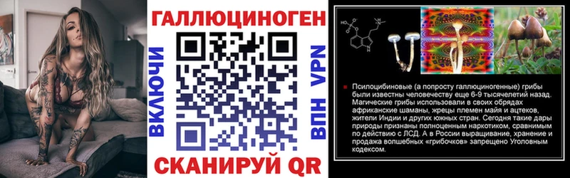 Псилоцибиновые грибы мицелий Богданович