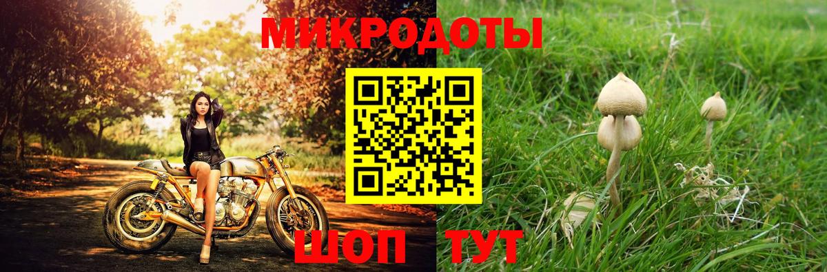 Галлюциногенные грибы Psilocybe  Псилоцибиновые грибы мицелий  Богданович  Вход с VPN 